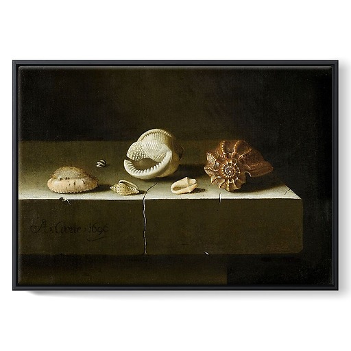 Six coquillages sur une table de pierre (toiles encadrées)