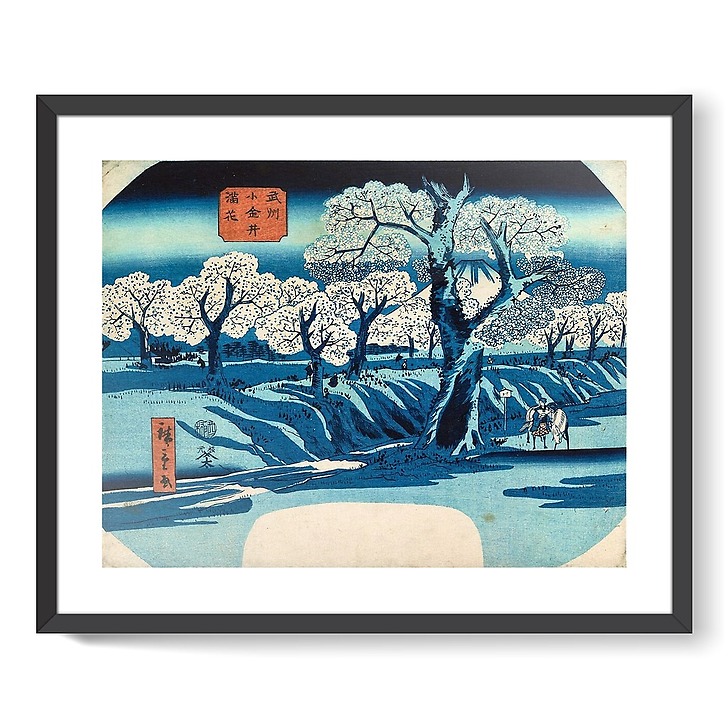 La floraison à Koganei (framed art prints)