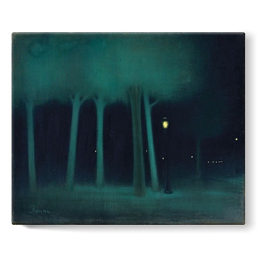 Un parc la nuit (détail) (stretched canvas)