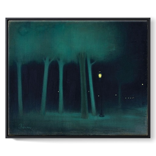 Un parc la nuit (détail) (framed canvas)