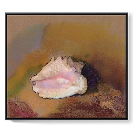 La Coquille (détail) (framed canvas)