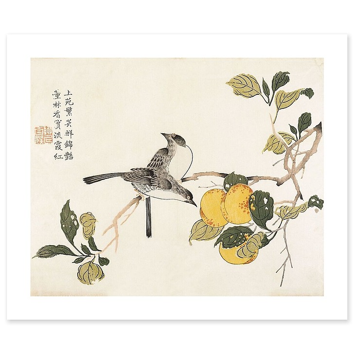 Jardin du grain de moutarde (art prints)