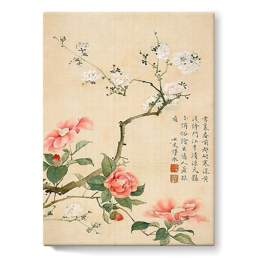 Album illustré de dix feuillets : Fleurs et insectes, dynastie Qing (stretched canvas)