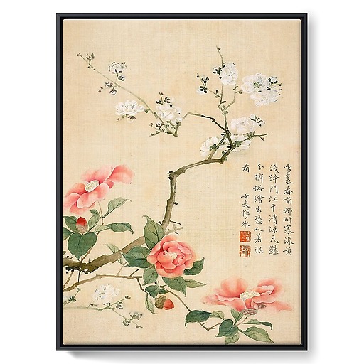 Album illustré de dix feuillets : Fleurs et insectes, dynastie Qing (framed canvas)