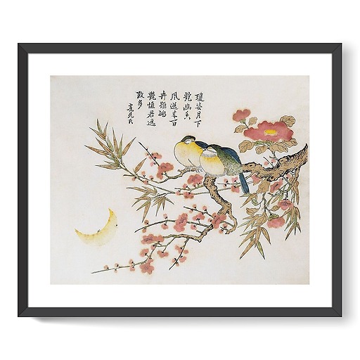 Série dite de Kaempfer : Bambou et camélias roses (framed art prints)
