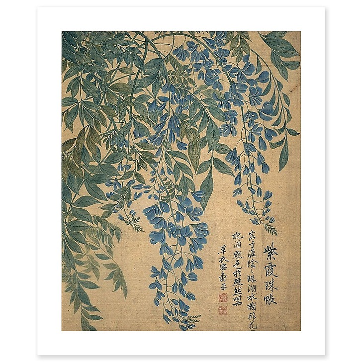 Album de douze feuilles : fleurs (affiches d'art)