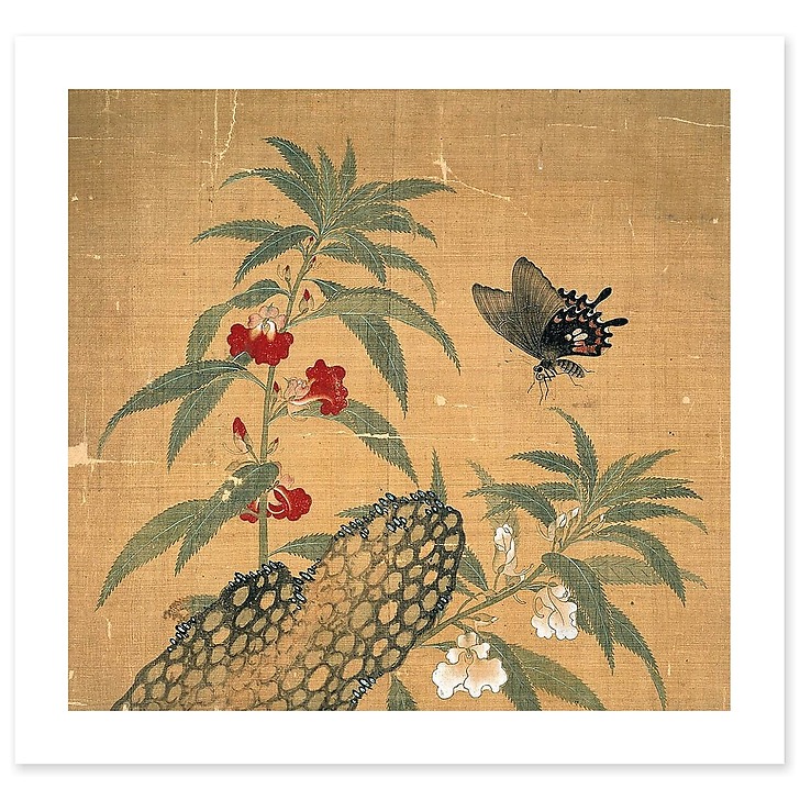 Fleurs et insectes (art prints)