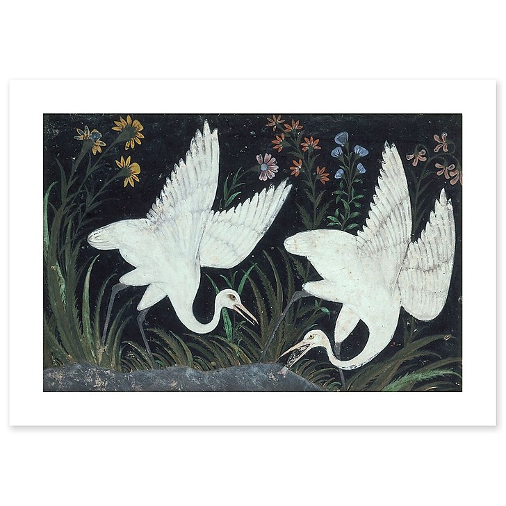 Deux grues au bord d'un étang (art prints)