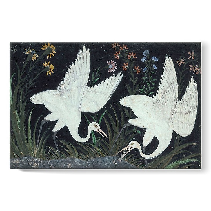 Deux grues au bord d'un étang (stretched canvas)