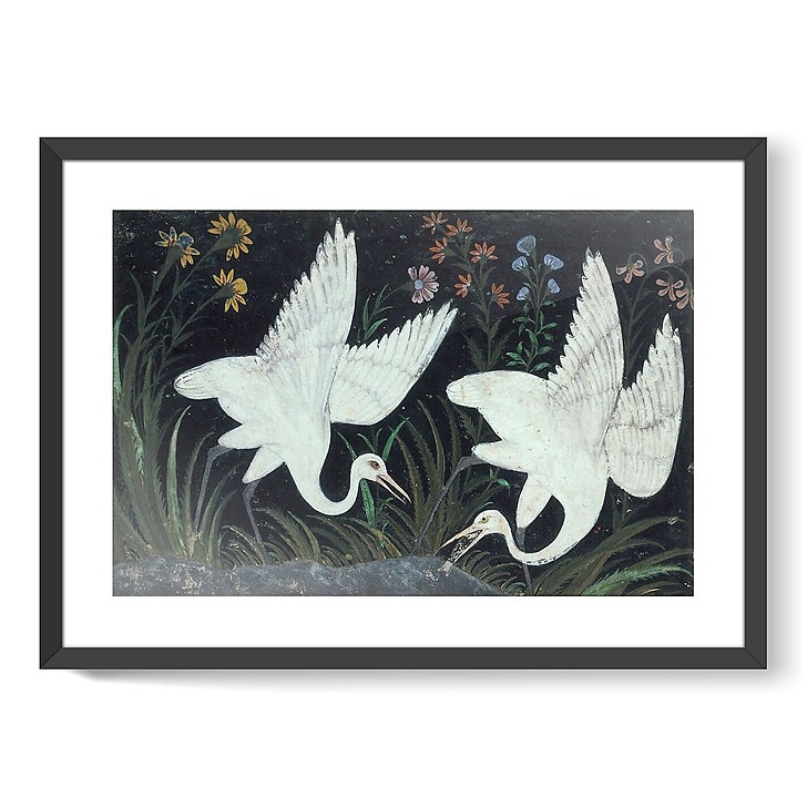 Deux grues au bord d'un étang (framed art prints)