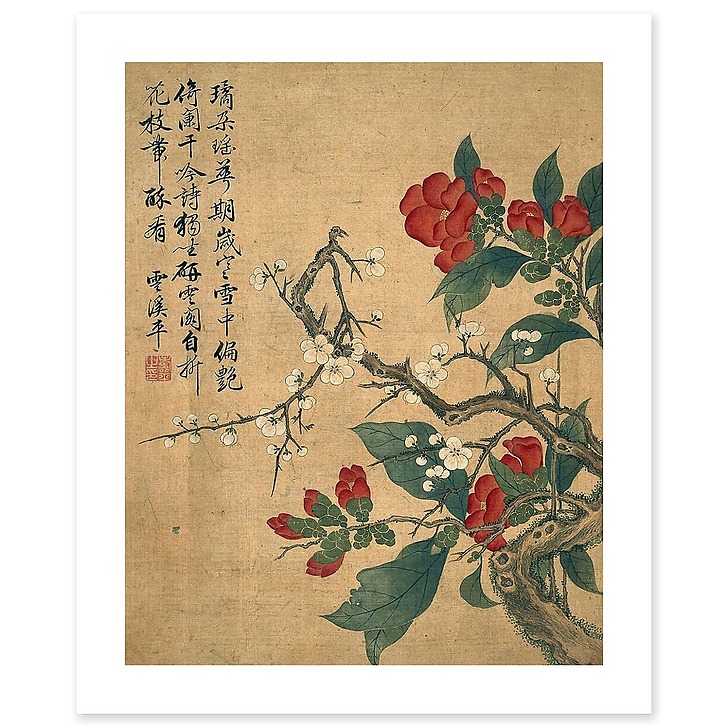 Album de douze feuilles : fleurs (affiches d'art)