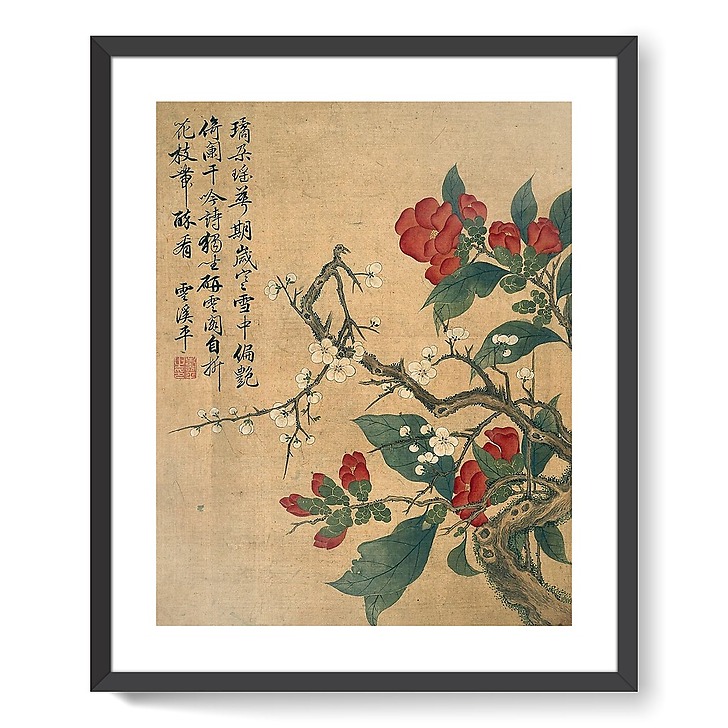Album de douze feuilles : fleurs (affiches d'art encadrées)