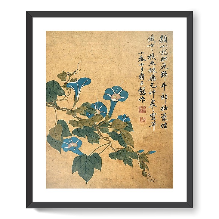 Album de douze feuilles : fleurs (framed art prints)