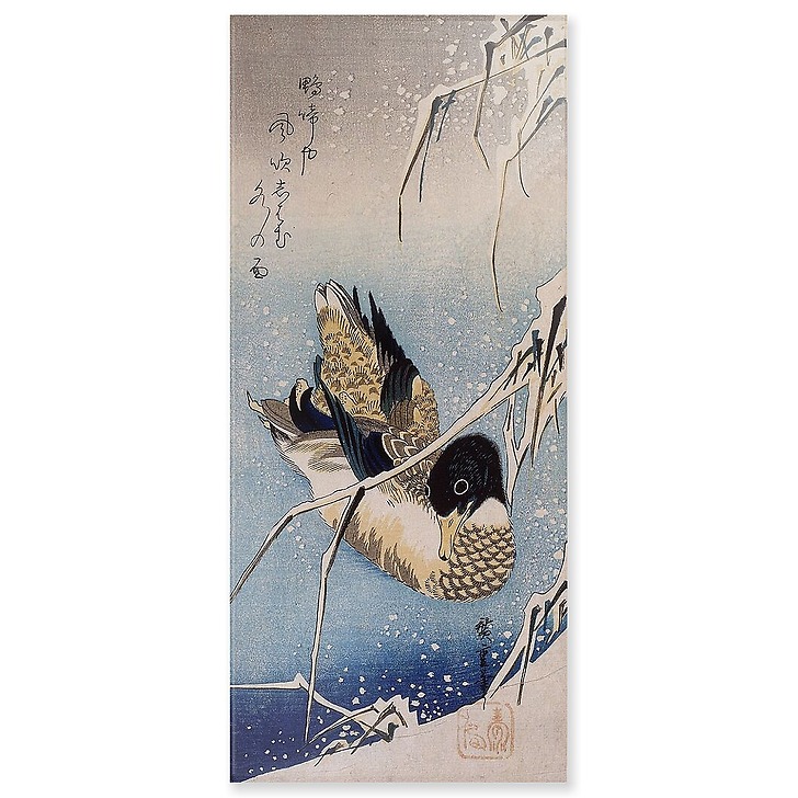 Canard et roseaux sous la neige (panneaux acryliques)