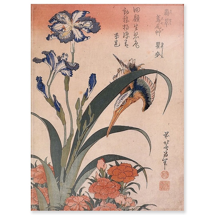 Kingfisher, carnation and iris (acrylic panels)