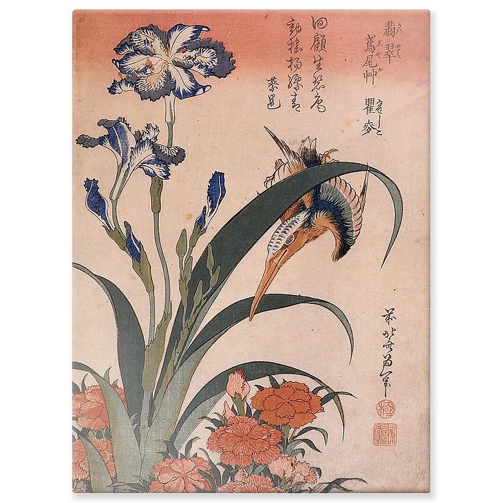 Kingfisher, carnation and iris (aluminium panels)