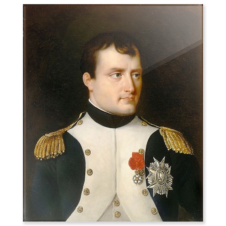 Napoléon Ier en uniforme de colonel des grenadiers de la garde à pieds (panneaux acryliques)
