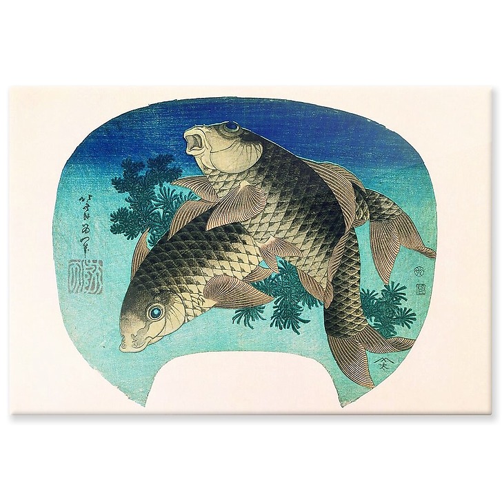 Two carps (aluminium panels)