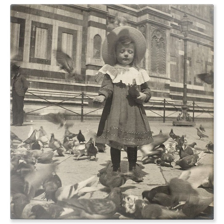 In front of the Dome, Bernadette gives grain to the pigeons (aluminium panels)