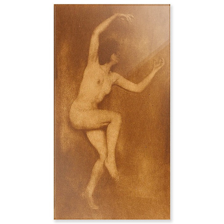 The Spider (panneaux acryliques)