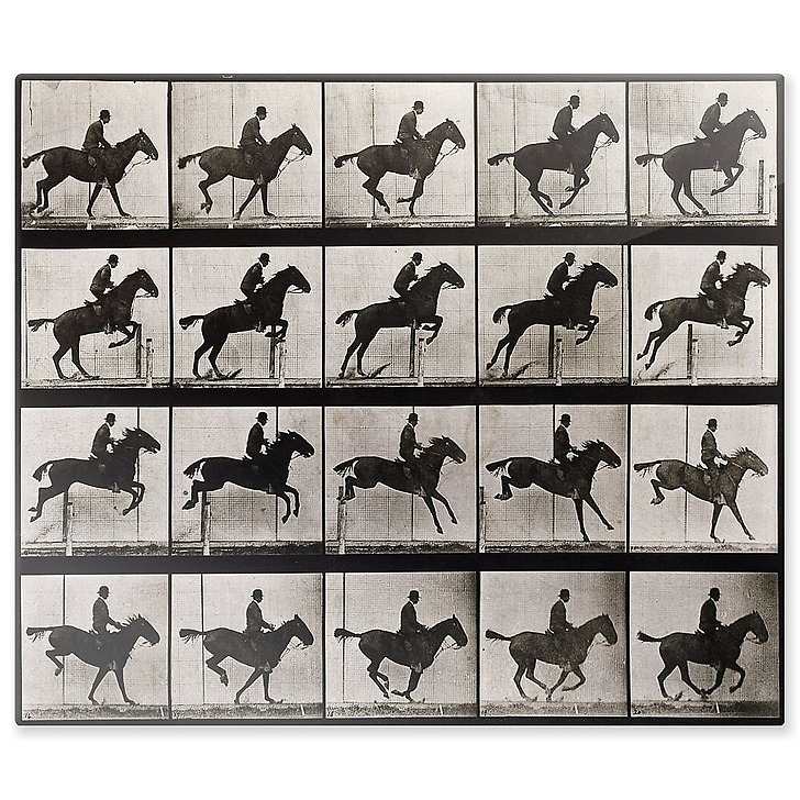 Animal Locomotion : Saut d'obstacle, cheval noir (panneaux aluminium)