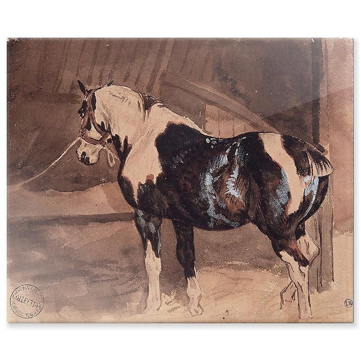 Cheval pie au repos à l'écurie (panneaux aluminium)