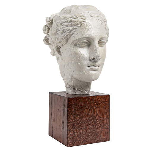 Head of the goddess Hygiea