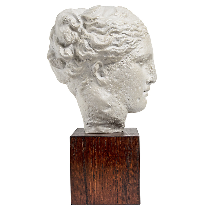 Head of the goddess Hygiea