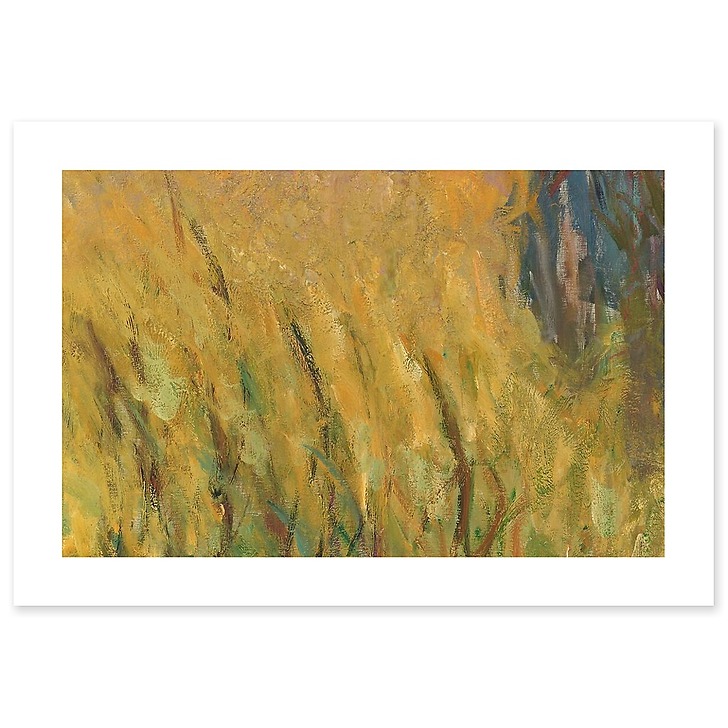 Les Nymphéas : Soleil couchant (toiles sans cadre)