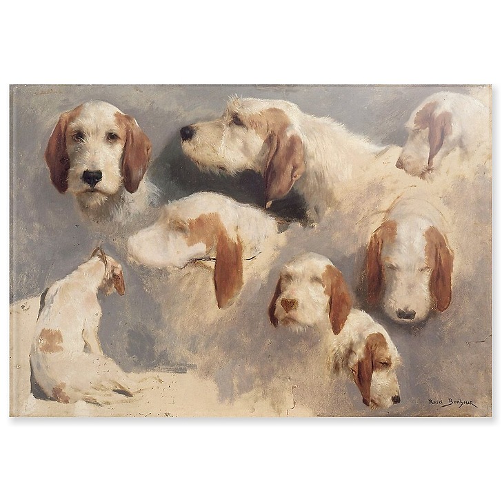 Study of hunting dogs; 8 sketches (acrylic panels)