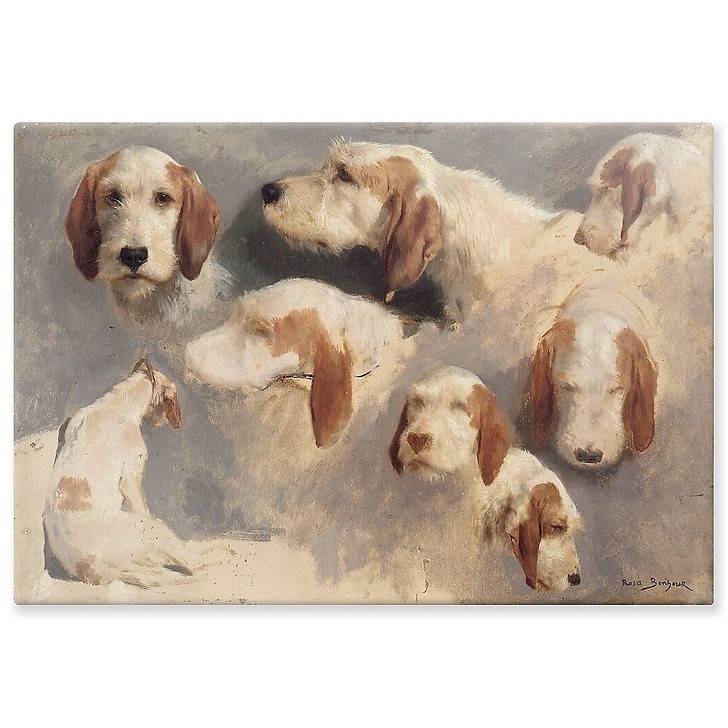 Etude de chien de chasse ; 8 esquisses (panneaux aluminium)