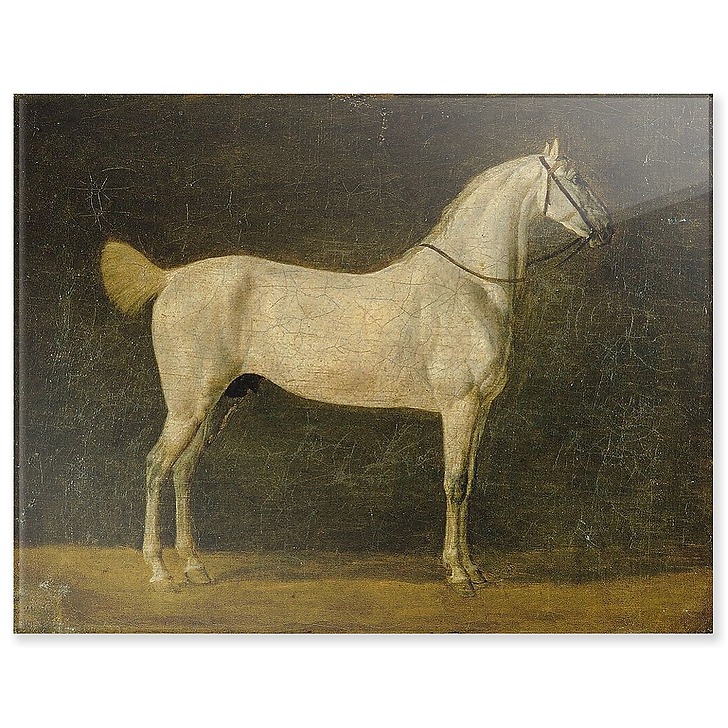 Cheval de Napoléon "le Distingué" (panneaux acryliques)