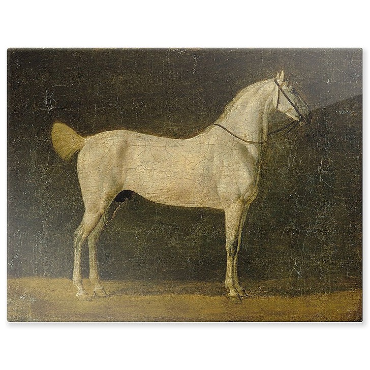 Cheval de Napoléon "le Distingué" (panneaux aluminium)