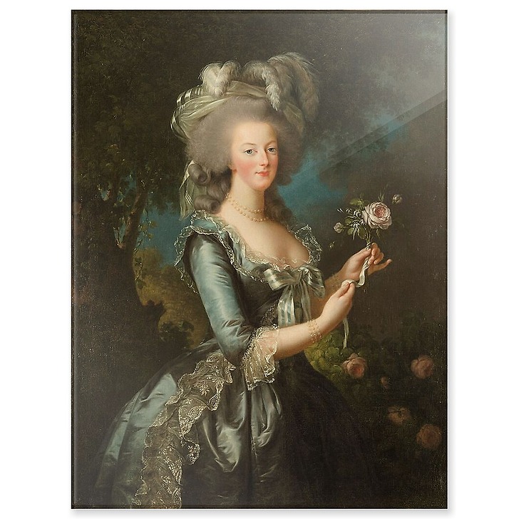 La reine Marie-Antoinette dit "à la Rose" (panneaux acryliques)