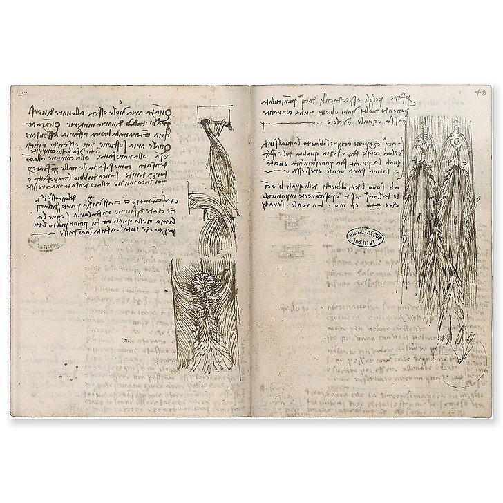 Turbulences provoquées par différents obstacles sur un fluide en mouvement (panneaux acryliques)