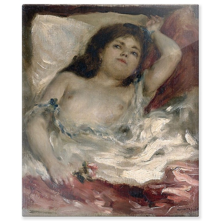 Femme demi-nue couchée: la rose (aluminium panels)