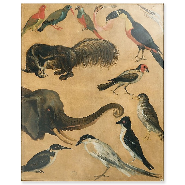 Etude d'animaux (acrylic panels)