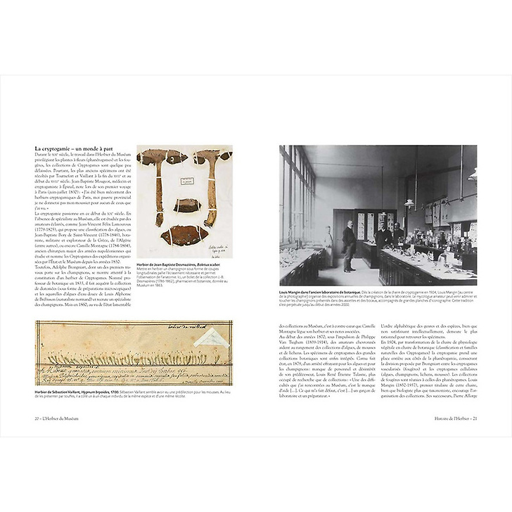 L'herbier du Museum - L'aventure d'une collection