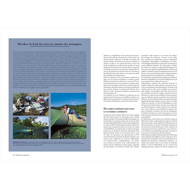 L'herbier du Museum - L'aventure d'une collection
