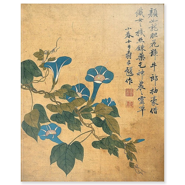 Album de douze feuilles : fleurs (acrylic panels)