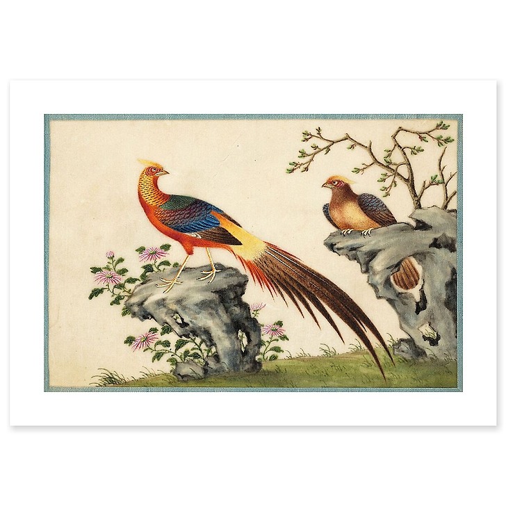 Page d'un album de peinture d’exportation figurant des décors de fleurs et oiseaux (affiches d'art)