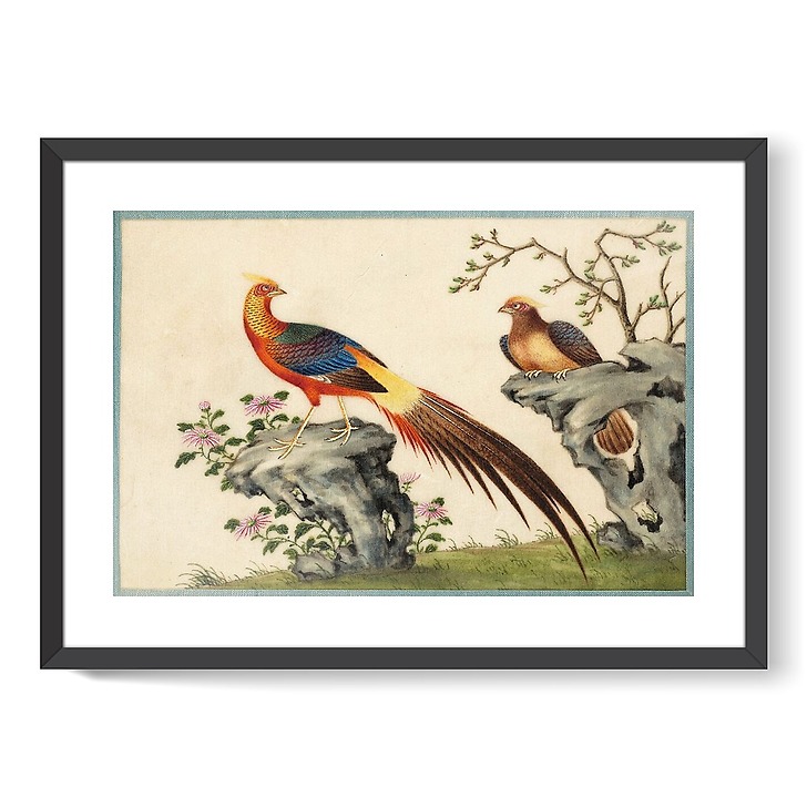 Page d'un album de peinture d’exportation figurant des décors de fleurs et oiseaux (affiches d'art encadrées)