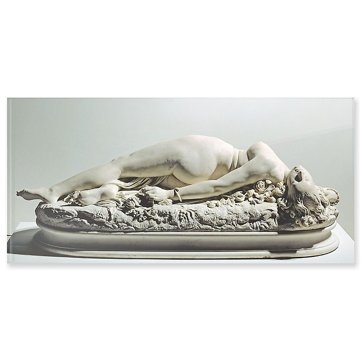 Femme piquée par un serpent (panneaux acryliques)