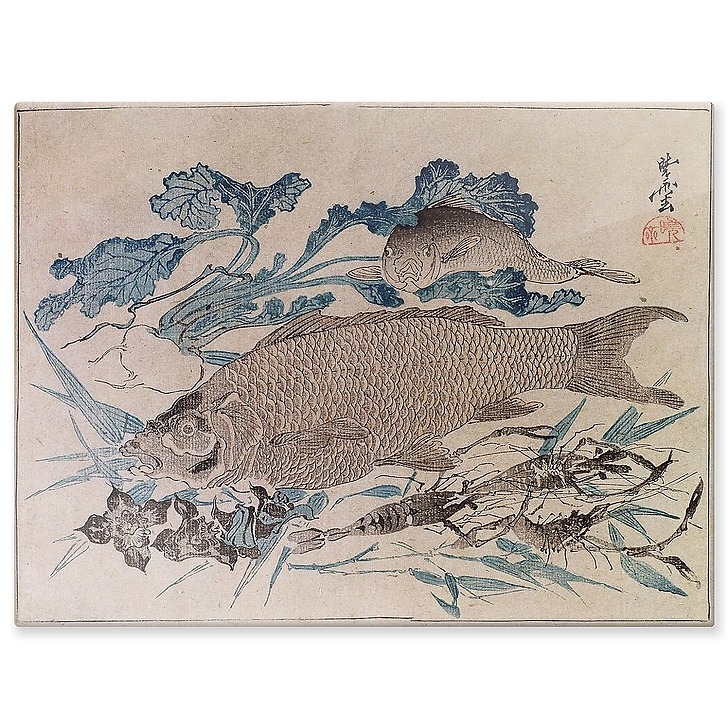 Poissons, écrevisse et fleurs (panneaux aluminium)