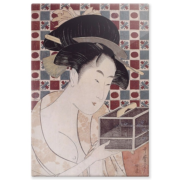 La cage à insectes (panneaux aluminium)