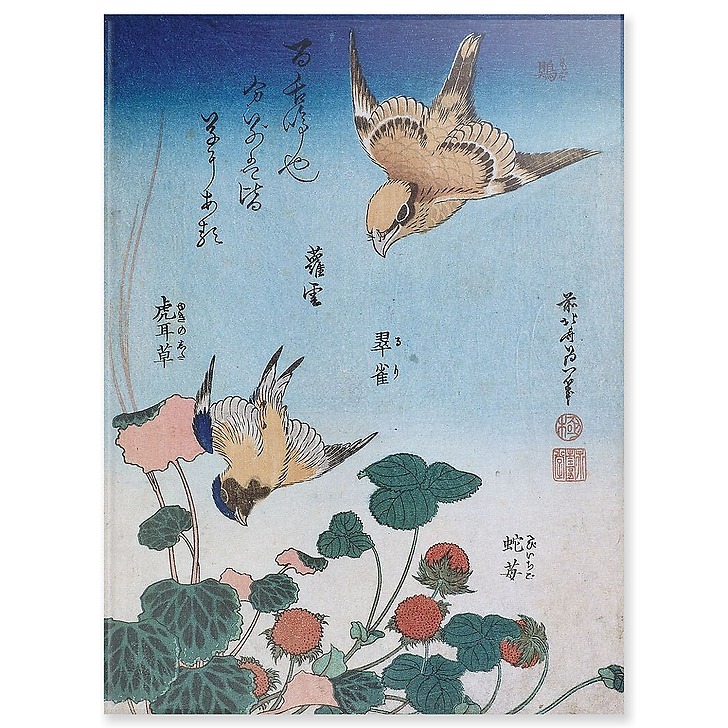 Shrike and Bluebird with Begonia and Wild Strawberry (acrylic panels)