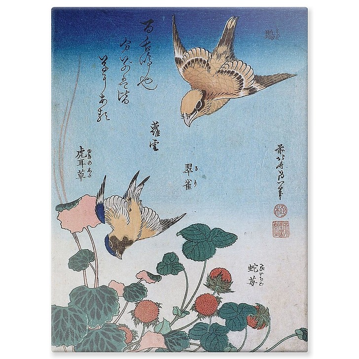 Shrike and Bluebird with Begonia and Wild Strawberry (aluminium panels)