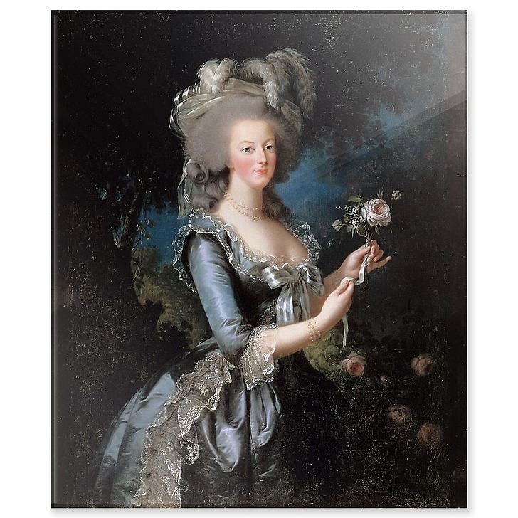 La reine Marie-Antoinette dit "à la Rose" (1755-1793) (panneaux acryliques)