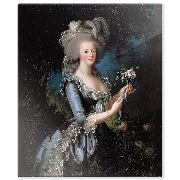 La reine Marie-Antoinette dit "à la Rose" (1755-1793) (panneaux aluminium)