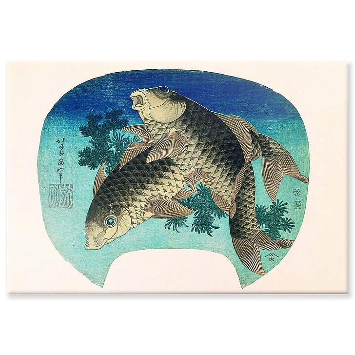 Two carps (aluminium panels)